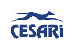 cesari-parceiros-share-people-hub